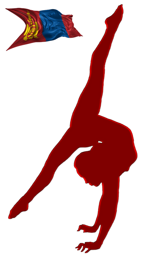 Contortion banner